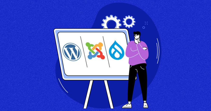Why wordpress is the best