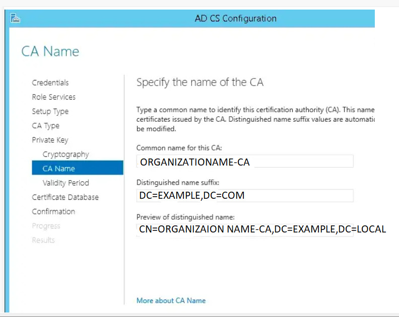 Enter Common Name, Distinguished Name and Confirm Preview