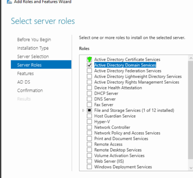 Select Server roles and Active Directory Domain Services