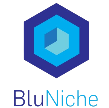 BluNiche Logo